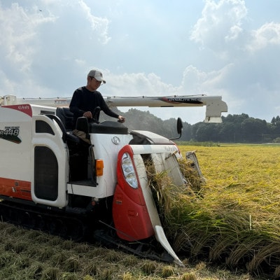 多古米セレクション 宇井稔二さんの多古米コシヒカリ 精米 10kg 令和7年産【配送不可地域：離島】【1683126】