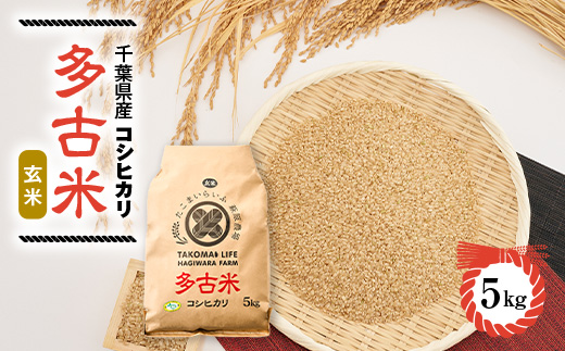 新米【令和7年産】たこまいらいふ萩原農場の多古米コシヒカリ(玄米)5kg　【配送不可地域：離島・沖縄県】【1438049】