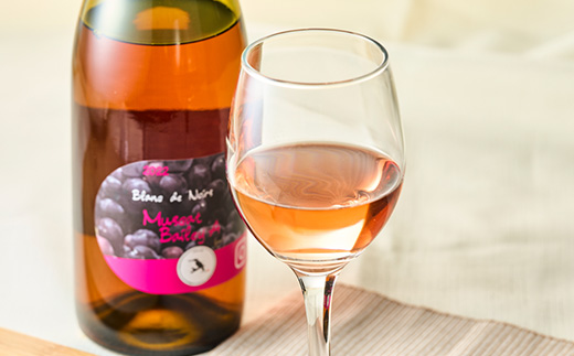 å€å€ã¯ã€ã³2022ã»ãã¹ã«ãã ããŒãªãŒA ãBlanc deNoirsã»ãã©ã³ããã¯ãŒã«ããé
éäžå¯å°åïŒé¢å³¶ã»æ²çžçãã1371715ã