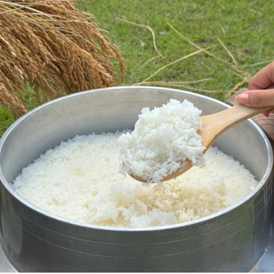 多古米セレクション　高石健太郎さんの多古米コシヒカリ　精米10kg　令和7年産【配送不可地域：離島】【1655299】