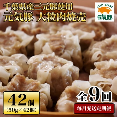 【毎月定期便】元気豚 大粒肉焼売セット 42個セット(計2.1kg)全9回【配送不可地域：離島・沖縄県】【4055283】