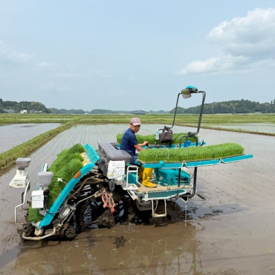 多古米セレクション　大木茂秀さんの多古米コシヒカリ　玄米5kg　令和7年産【配送不可地域：離島】【1655383】