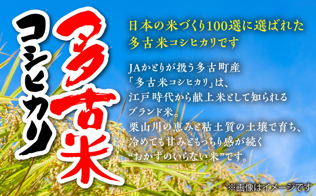 縲蝉サ、蜥7蟷エ逕」縲大、壼商邀ウ繧ウ繧キ繝偵き繝ェ縲邊セ邀ウ20kg(5kgテ4陲)縲宣埼∽ク榊庄蝨ー蝓滂シ夐屬蟲カ繝サ豐也ク逵後代1030394縲 TAKN002