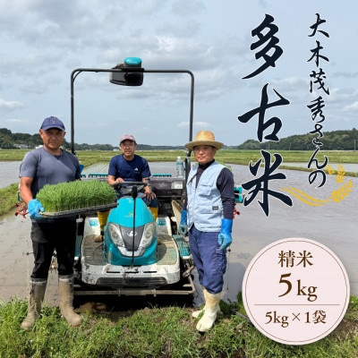 多古米セレクション　大木茂秀さんの多古米コシヒカリ　精米5kg　令和7年産【配送不可地域：離島】【1655382】