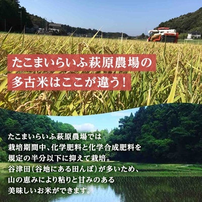 【令和7年産】たこまいらいふ萩原農場の多古米コシヒカリ(精米)3kg【配送不可地域：離島・沖縄県】【1438054】