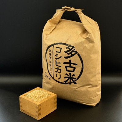 多古米セレクション 宇井稔二さんの多古米コシヒカリ 精米 10kg 令和7年産【配送不可地域：離島】【1683126】