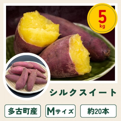 多古町産さつまいも「シルクスイート」5kg【1699908】