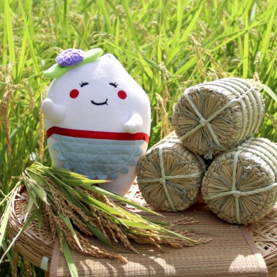 多古米セレクション　大木茂秀さんの多古米コシヒカリ　精米5kg　令和7年産【配送不可地域：離島】【1655382】