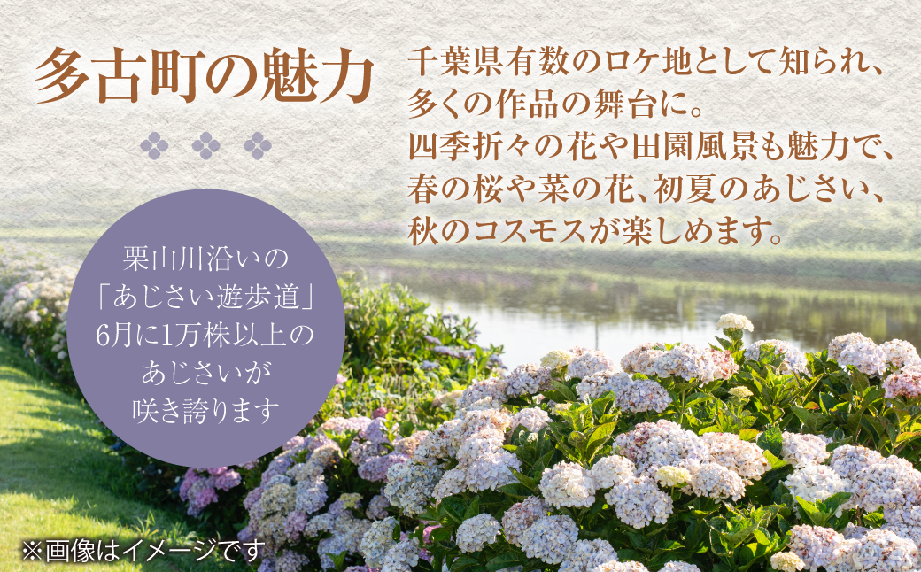 ããŸããããæ
通ã1æ³çŽ æ³ãŸããã¢å®¿æ³åž æç°ç©ºæž¯ããã»ã©è¿ãå®¶åºçãªé°å²æ°ã®é ã宿ã1225366ã TAKR003