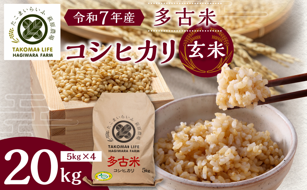 【令和7年産】たこまいらいふ萩原農場の多古米コシヒカリ(玄米)20kg【配送不可地域：離島・沖縄県】【1438051】 TAKK016