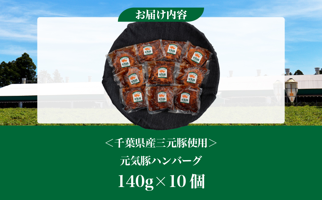 元気豚デミグラスハンバーグ 10個セット(140g×10個入)【配送不可地域：離島・沖縄県】【1569947】 TAKB069