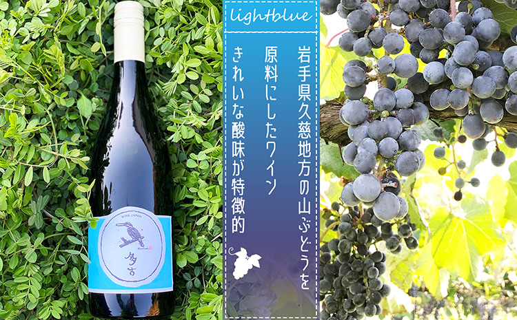TKOB4-033 多古ワイン 水色ラベル・山ぶどう 日本ワイン