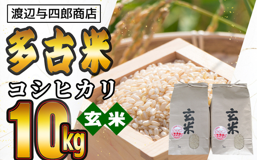 TKOB2-008 多古米コシヒカリ【玄米】10kg　令和3年産