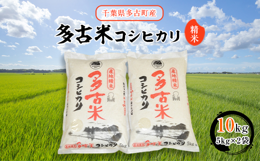 【令和7年産】多古米コシヒカリ　精米10kg(5kg×2袋)【配送不可地域：離島・沖縄県】【1030393】