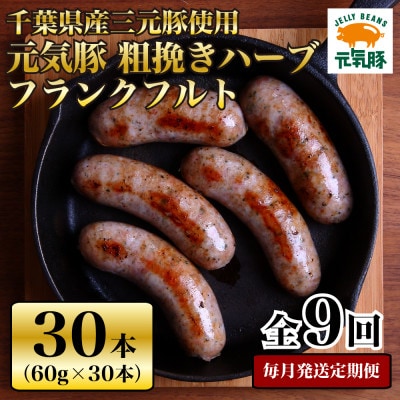 【毎月定期便】元気豚 粗挽きハーブフランクフルト 30本セット 1.8kg(60g×30本)全9回【配送不可地域：離島・沖縄県】【4055504】