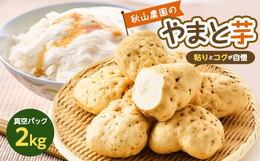 繧縺セ縺ィ闃九ョ逕コ 螟壼商縺九i縲檎ァ句アア霎イ蝨偵ョ繧縺セ縺ィ闃九2kg縲1459854縲