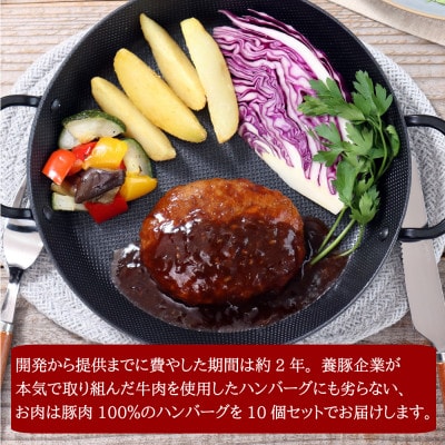 元気豚ハンバーグ 10個セット(140g×10個入)【配送不可地域：離島・沖縄県】【1569947】