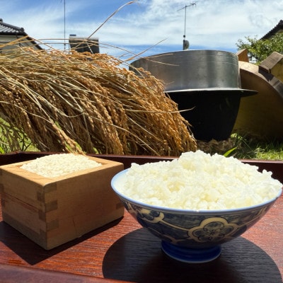 多古米セレクション　大木茂秀さんの多古米コシヒカリ　玄米5kg　令和7年産【配送不可地域：離島】【1655383】