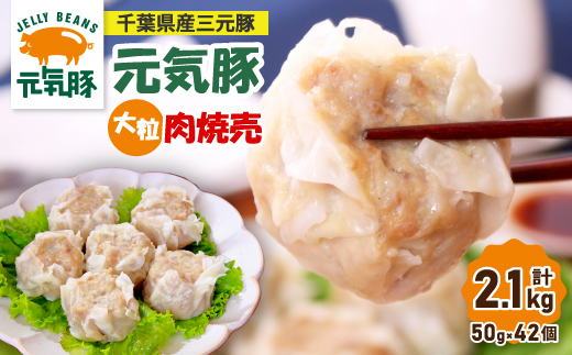 【千葉県産三元豚】元気豚 大粒肉焼売(シューマイ)セット　2.1kg(50g×42個)【配送不可地域：離島・沖縄県】【1032621】