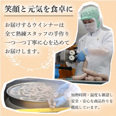 【千葉県多古町産】元気豚 ウインナーソーセージセット(36本入り)【配送不可地域：離島】【1655497】