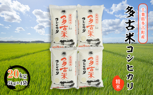 【令和7年産】多古米コシヒカリ　精米20kg(5kg×4袋)【配送不可地域：離島・沖縄県】【1030394】