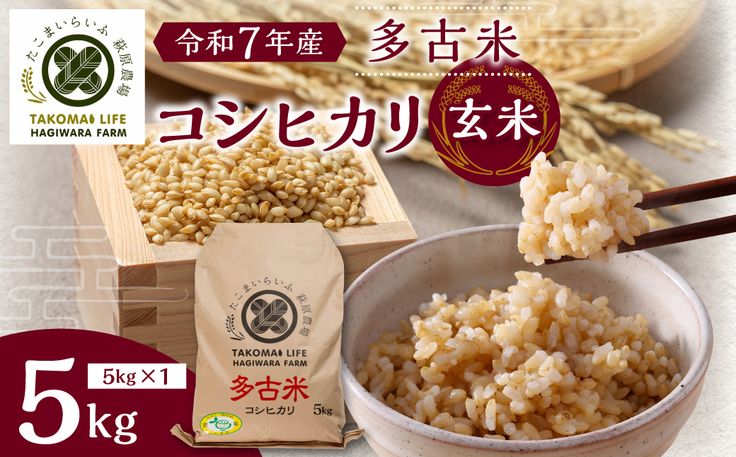 【令和7年産】たこまいらいふ萩原農場の多古米コシヒカリ(玄米)5kg　【配送不可地域：離島・沖縄県】【1438049】 TAKK014