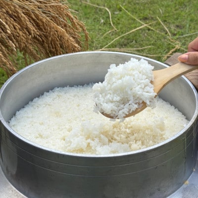 多古米セレクション　萩原佐千穂さんの多古米コシヒカリ　精米5kg　令和7年産【配送不可地域：離島】【1654400】