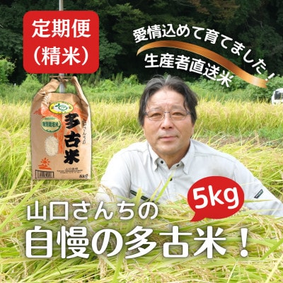 【毎月定期便】山口さんちの多古米コシヒカリ(精米)5kg全6回【配送不可地域：離島】【4079909】