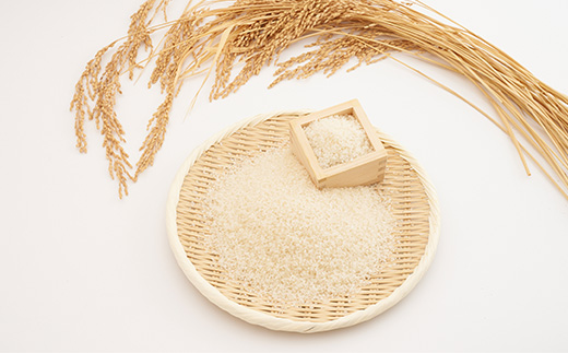 æ°ç±³ã什å7幎ç£ããããŸããããµè©åèŸ²å Žã®å€å€ç±³ã³ã·ãã«ãª(粟米)10kgã»(çç±³)10kgã»ãããé
éäžå¯å°åïŒé¢å³¶ã»æ²çžçãã1438053ã