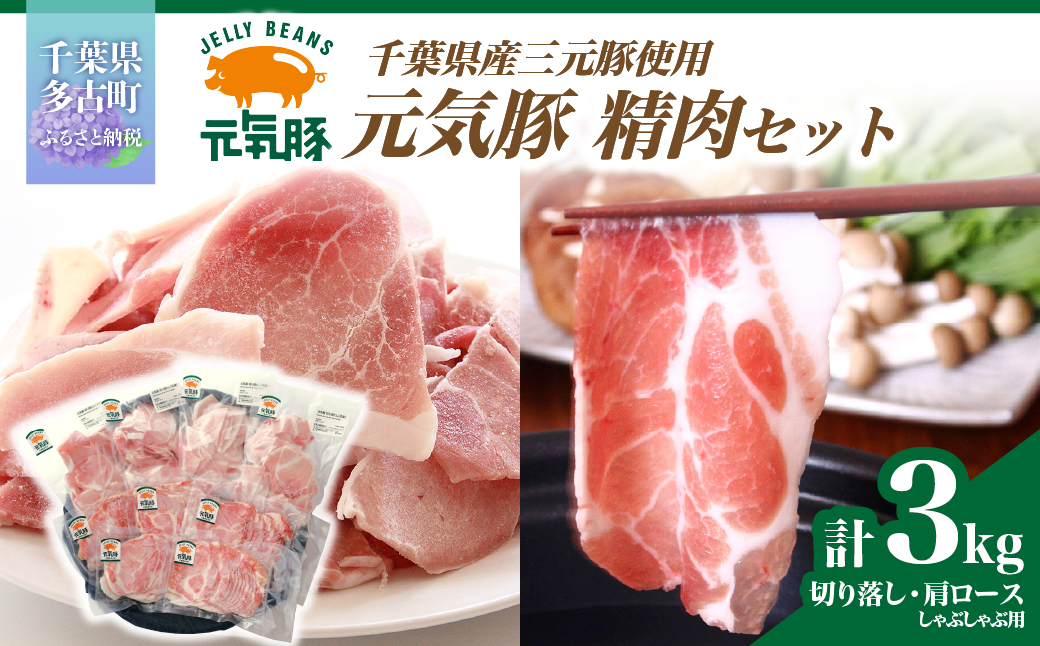 【農場直送】千葉県産三元豚　元気豚 精肉セット 3kg【配送不可地域：離島・沖縄県】　 TAKB009