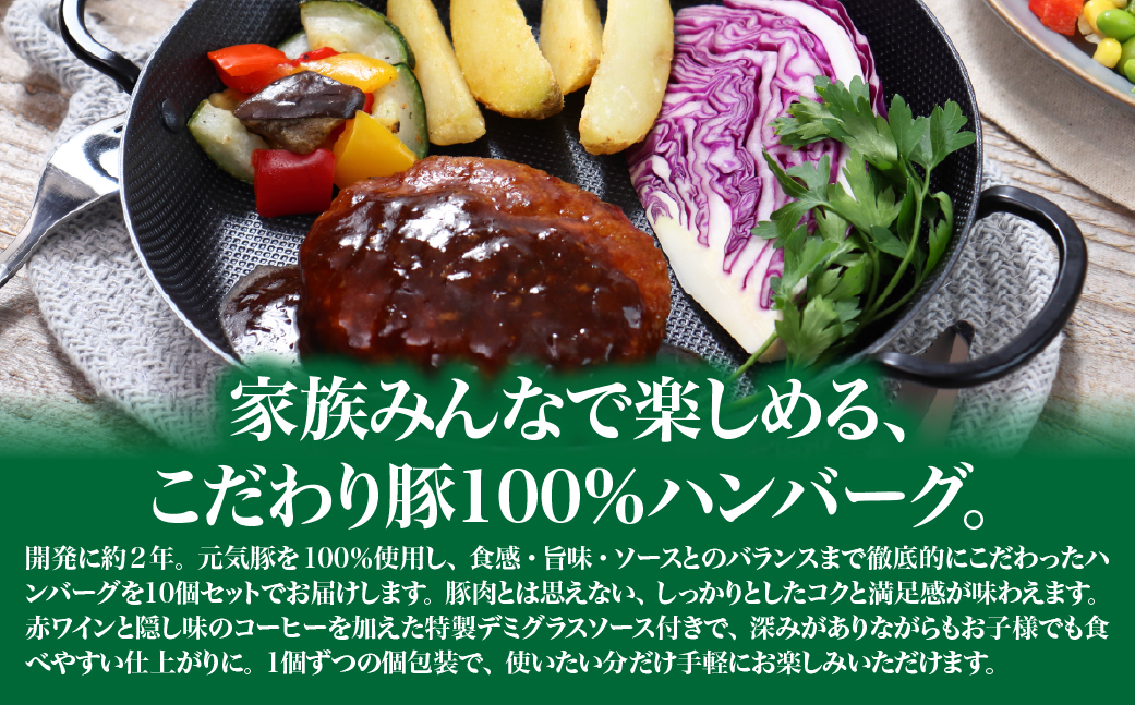 元気豚デミグラスハンバーグ 10個セット(140g×10個入)【配送不可地域：離島・沖縄県】【1569947】 TAKB069