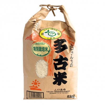 【毎月定期便】山口さんちの多古米コシヒカリ(精米)5kg全6回【配送不可地域：離島】【4079909】