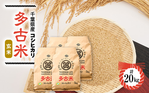 新米【令和7年産】たこまいらいふ萩原農場の多古米コシヒカリ(玄米)20kg【配送不可地域：離島・沖縄県】【1438051】
