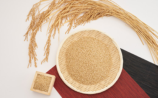 新米【令和7年産】たこまいらいふ萩原農場の多古米コシヒカリ(玄米)10kg【配送不可地域：離島・沖縄県】【1438050】