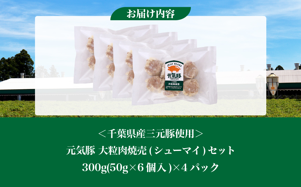 蜈豌苓ア壹螟ァ邊定i辟シ螢イ縲4繝代ャ繧ッ繧サ繝繝医宣埼∽ク榊庄蝨ー蝓滂シ夐屬蟲カ繝サ豐也ク逵後代1459599縲 TAKB050