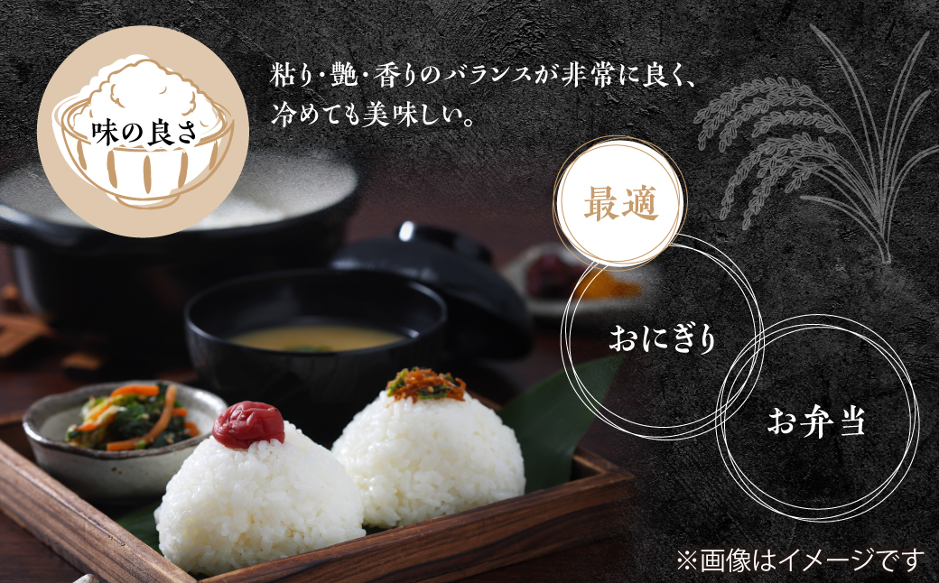 縲蝉サ、蜥7蟷エ逕」縲大、壼商邀ウ繧ウ繧キ繝偵き繝ェ縲邊セ邀ウ20kg(5kgテ4陲)縲宣埼∽ク榊庄蝨ー蝓滂シ夐屬蟲カ繝サ豐也ク逵後代1030394縲 TAKN002