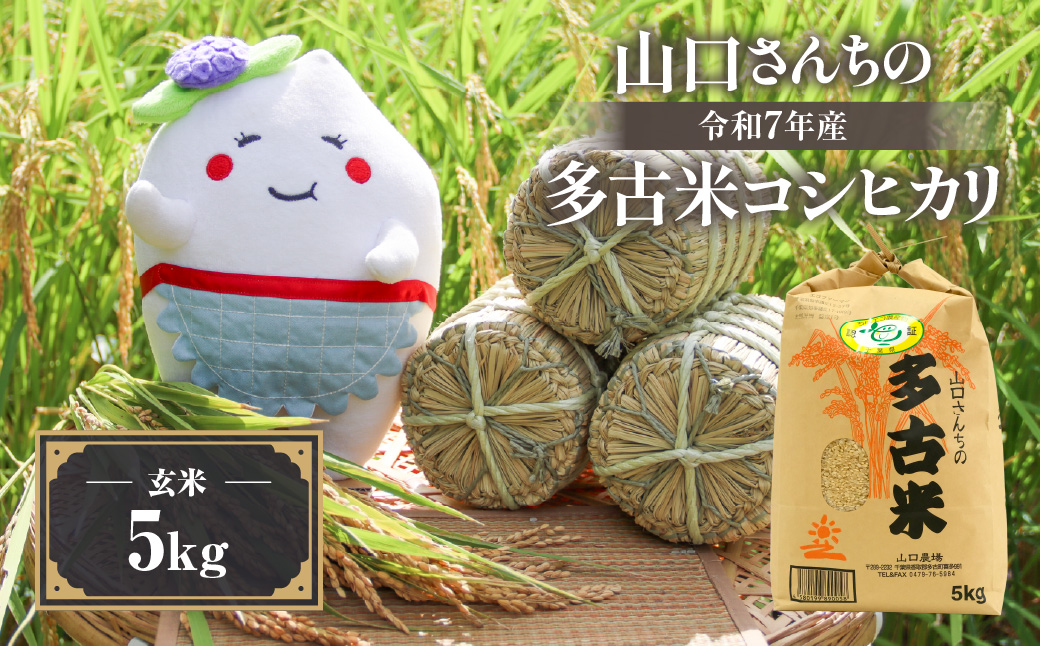 山口さんちの【令和7年産】多古米コシヒカリ(玄米)5kg【配送不可地域：離島・沖縄県】【1481142】 TAKF045