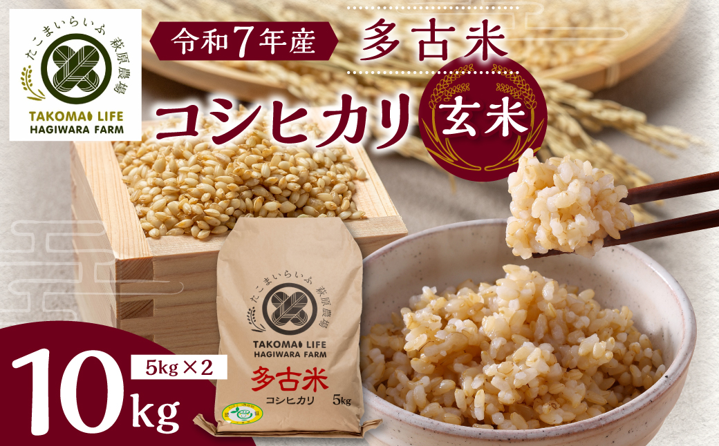 【令和7年産】たこまいらいふ萩原農場の多古米コシヒカリ(玄米)10kg【配送不可地域：離島・沖縄県】【1438050】 TAKK015