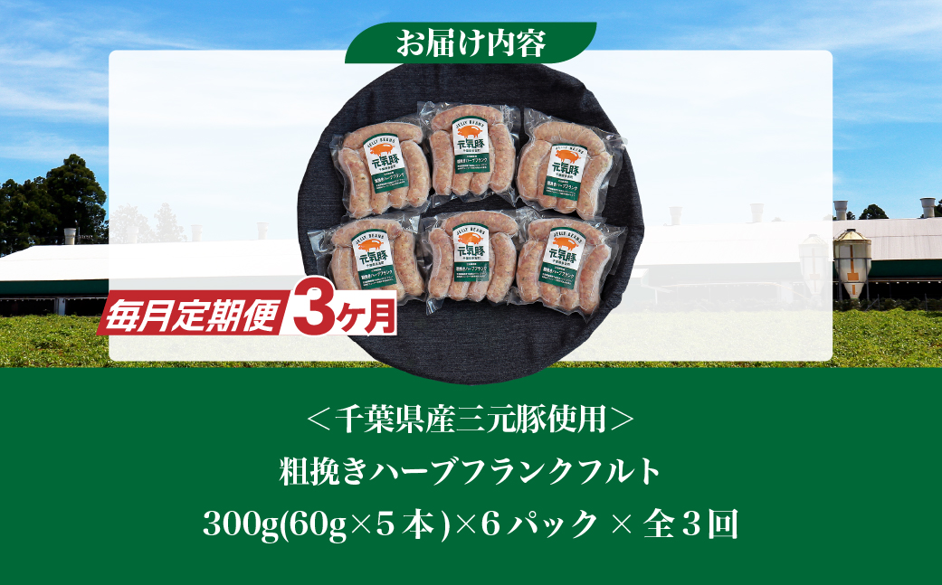 【毎月定期便】元気豚 粗挽きハーブフランクフルト 30本セット 1.8kg(60g×30本)全3回【配送不可地域：離島・沖縄県】【4055501】 TAKB066