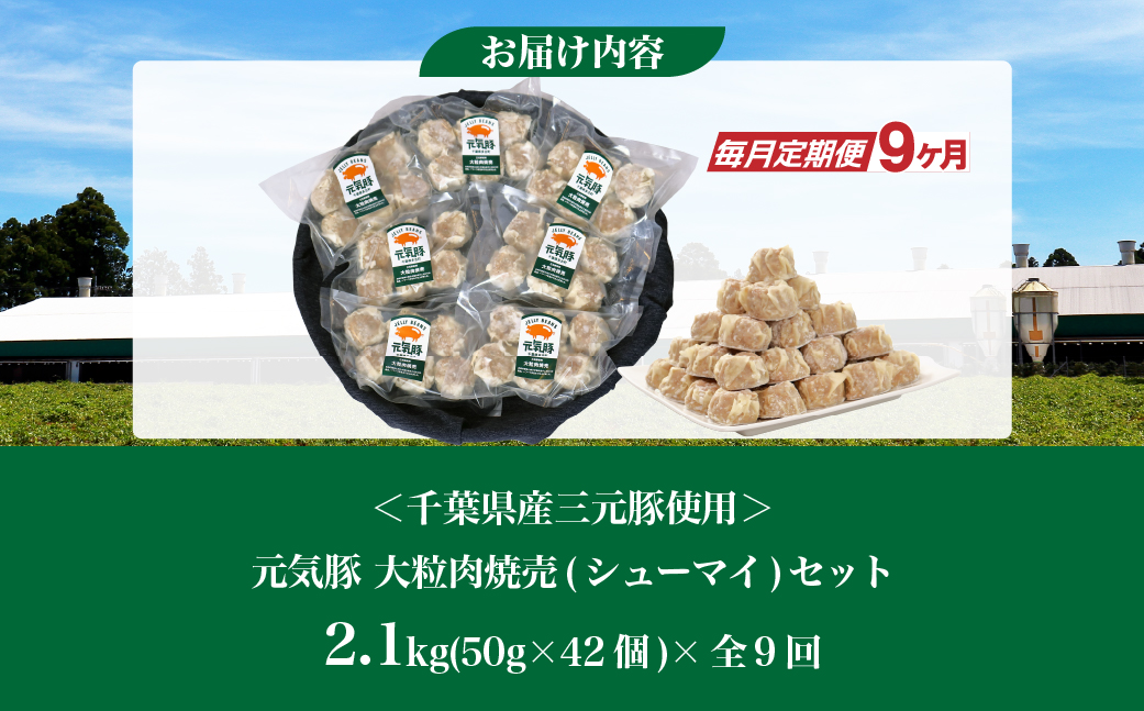 【毎月定期便】元気豚 大粒肉焼売セット 42個セット(計2.1kg)全9回【配送不可地域：離島・沖縄県】【4055283】 TAKB065