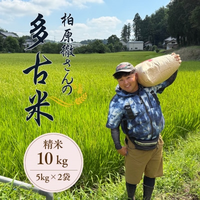 多古米セレクション　柏原徹さんの多古米コシヒカリ　精米10kg　令和7年産【配送不可地域：離島】【1655241】