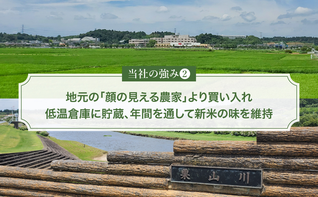 縲蝉サ、蜥7蟷エ逕」縲大、壼商邀ウ繧ウ繧キ繝偵き繝ェ 邊セ邀ウ10kg(5kgテ2陲)縲宣埼∽ク榊庄蝨ー蝓滂シ夐屬蟲カ繝サ豐也ク逵後代1396309縲 TAKE002