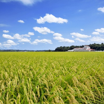 多古米セレクション　高石健太郎さんの多古米コシヒカリ　精米10kg　令和7年産【配送不可地域：離島】【1655299】
