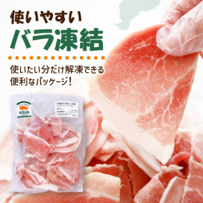 【小分けで便利】国産 元気豚 切り落とし 3kg(500g×6袋)　千葉県産三元豚　パラパラ凍結【配送不可地域：離島・北海道・沖縄県】【1032617】