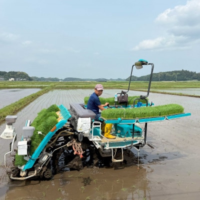 多古米セレクション　大木茂秀さんの多古米コシヒカリ　精米5kg　令和7年産【配送不可地域：離島】【1655382】