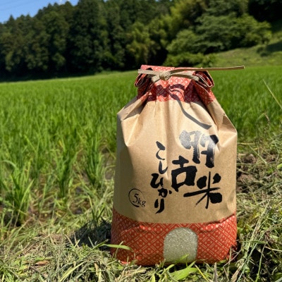 多古米セレクション　萩原佐千穂さんの多古米コシヒカリ　精米5kg　令和7年産【配送不可地域：離島】【1654400】
