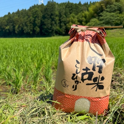 多古米セレクション　萩原佐千穂さんの多古米コシヒカリ　精米10kg　令和7年産【配送不可地域：離島】【1654402】