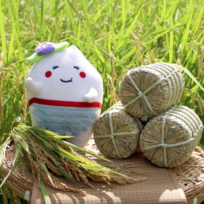 多古米セレクション　高石健太郎さんの多古米コシヒカリ　精米10kg　令和7年産【配送不可地域：離島】【1655299】