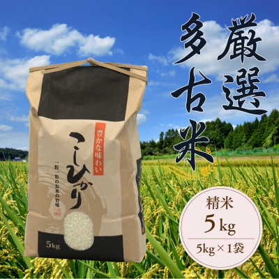 厳選多古米コシヒカリ　精米5kg　令和7年産【配送不可地域：離島】【1647790】