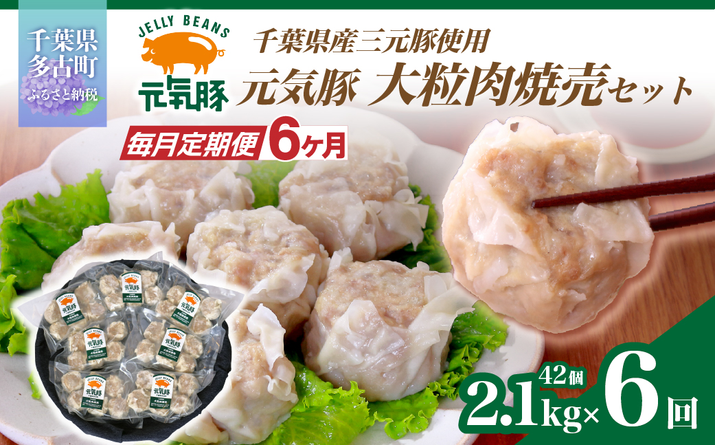 【毎月定期便】元気豚 大粒肉焼売セット 42個セット(計2.1kg)全6回【配送不可地域：離島・沖縄県】【4055282】 TAKB064